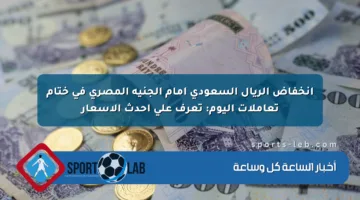 انخفاض الريال السعودي أمام الجنيه المصري في ختام تعاملات اليوم: تعرف على أحدث الأسعار